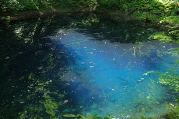 十二湖の青池