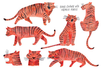 Fototapeta na wymiar Set Of Isolated tiger illustrations.