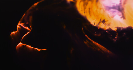 Macro Paint with Neon Color Palette. Oil Mixed with Orange and Pink Dye and Paint.