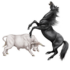 combat de cheval et le taureau blanc, force, attaque, debout, animal, brun, mammifère, joli, sauvage, agressive, dangereux, illustration, de race, ferme, fond blanc, coloré, fantastique, musclé, fort