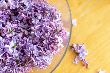 Fototapeta na wymiar Pink lilac blossom petals for aromatheraphy use,