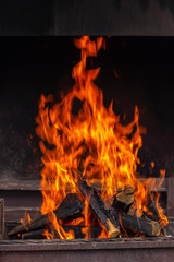 fire in the fireplace