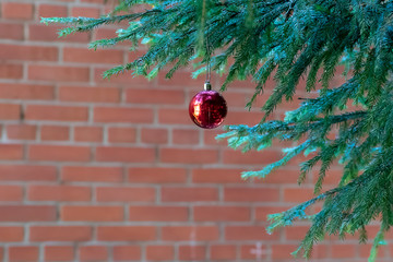 red Christmas ball with reflection decorate the green branches of the Christmas tree.