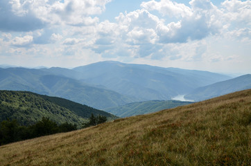 Scenic view of mountains near yellow meadow and green forest against blue sky with clouds. Carpathians. Ukraine