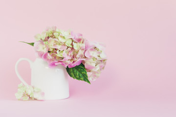 Romantic bouquet of pink Hydrangea flowers in a jar on a pink background.