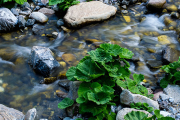 water and rocks