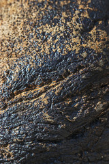 Natural texture: shiny black-yellow river stone in natural light on a sunny summer day.