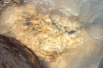 Natural texture: yellow-blue stone in the water of the river under natural light on a sunny summer day.
