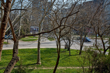 Street without traffic in the Covid  19