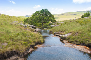 Fototapeta na wymiar Landscape along a tributary of the Bulolo River in Umtamvuna Nature Reserve, Port Edward, KwaZulu-Natal, South Africa