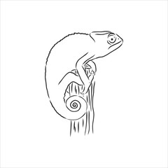 Sketch of chameleon. Hand drawn vector illustration.chameleon animal, vector sketch illustration