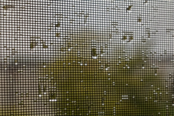Many drops of water from the rain on the mesh surface