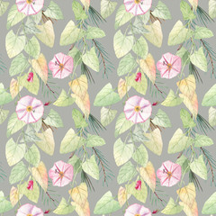 Fototapeta na wymiar Seamless pattern with bindweed and fir on a neutral grey background. Watercolor botanical illustration. Harmonic design for paper goods and textile. 
