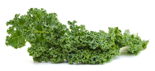 freshly harvested kale cabbage on a white background