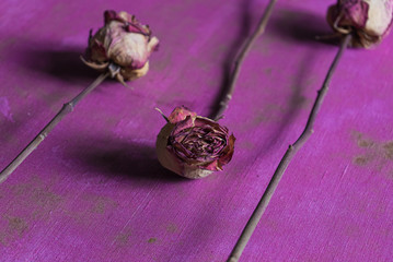 dried flowers red roses on bright purple canvas background, flat lay