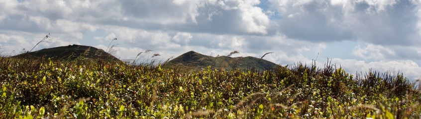 Panorama Tarnicy w Bieszczadach ze szlaku