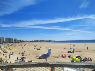 plage des sables-d'olonne en &eacute;t&eacute;	