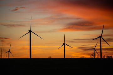 Obraz premium Sonne und Wind