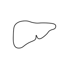 Liver outline icon. Symbol, logo illustration for mobile concept and web design.