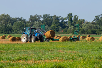Obraz premium hay bales in a field