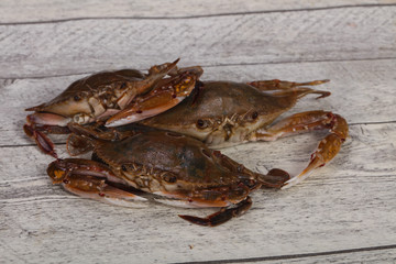 Raw crab - ready for cooking