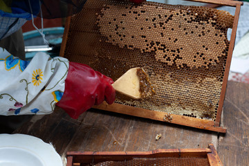 The beekeeper removes the wax from the honey frame. Then it will be laid in the honey extractor.