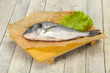 Raw Dorada fish  for cooking