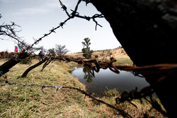 Árbol en el río