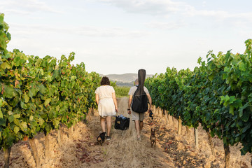 Couple leaving the picnic