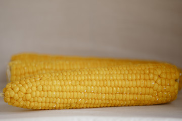 Close up corncobs on white background.