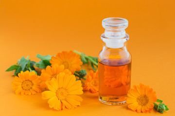 Bottle of pot marigold tincture, with fresh Calendula flowers on orange background. Natural herbal alternative medicine, healing and medicinal herbs.
