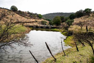 Paisaje de rancho