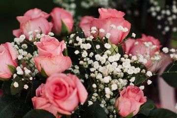 Bouquet of Roses