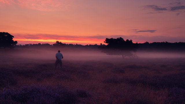 Heidebl&uuml;hen Westruper Heide, Sonnenaufgang, Nebel