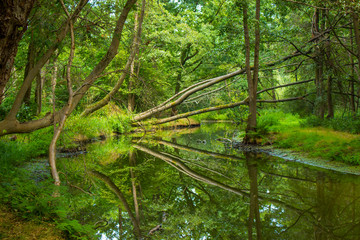 Nette River,  Lower Rhine Region, Germany