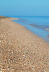 Fototapeta na wymiar Surf on an empty shell beach, selective focus.