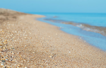 Empty shell beach, selective focus.