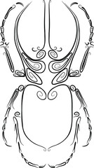 
beetle drawn with curls