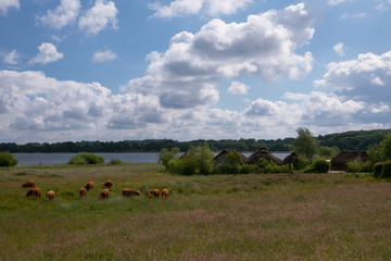 Obraz premium Wikingersiedlung Haithabu