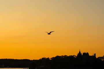 Sunset over the castle on the river
