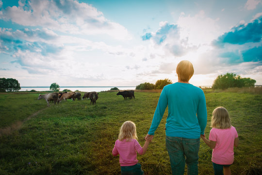 family looking at cows in nature, father and kids enjoy nature