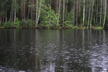 Lake with circles on the surface from the rain on the background of the forest. Forest landscape. Russian forest.