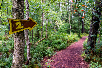 Nature reserve Wilhelmsdorf Pfrunger Ried in Upper Swabia