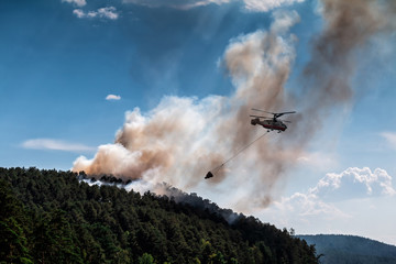 Firefighter helicopter extinguishes forest fire with water. Smoke on conifers