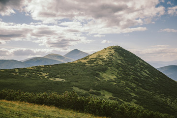 Obraz premium A field with a mountain in the background