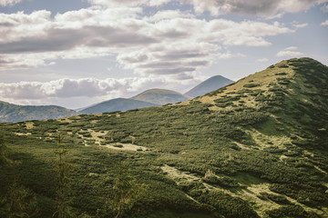 A field with a mountain in the background