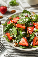 Homemade Organic Fresh Strawberry Salad