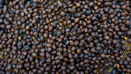 Coffee beans background