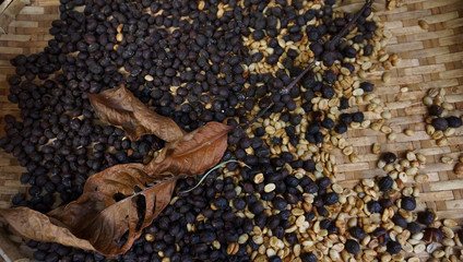 Сlose up of coffee beans with dry leaves