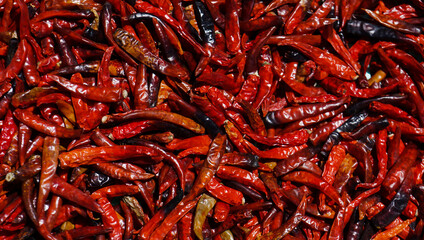 Red hot chili peppers